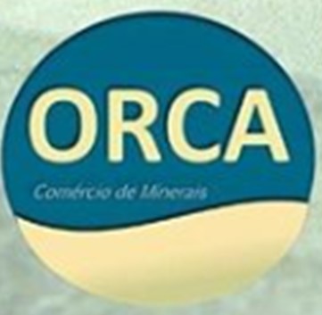 Orca